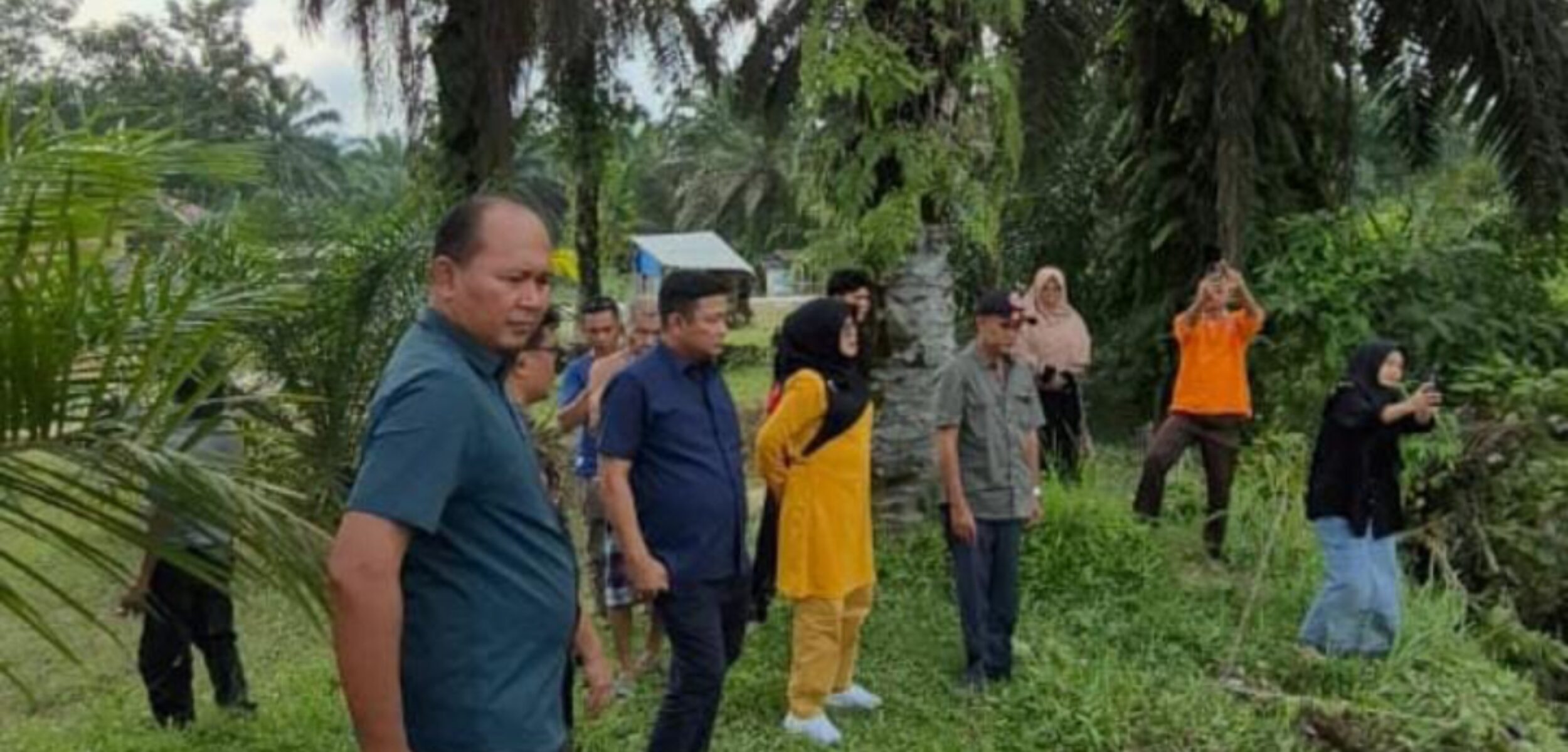 Screenshot 20250222 235331