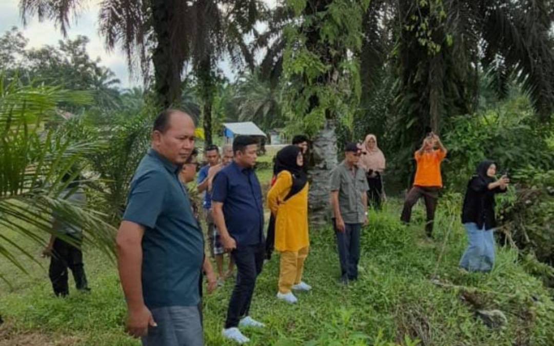 Screenshot 20250222 235331