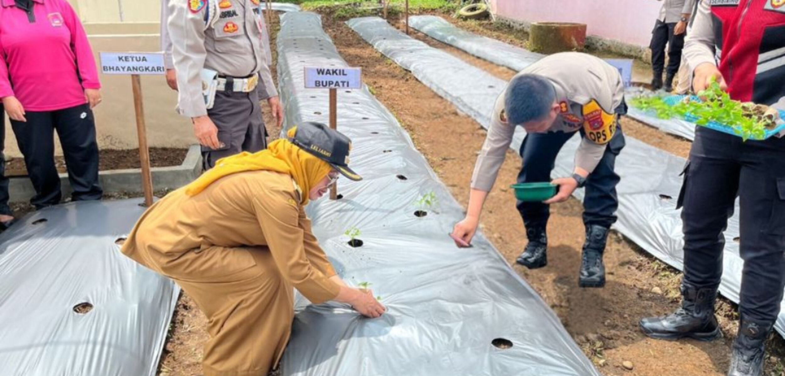 Dukung Ketahanan Pangan, Polres Dharmasraya Luncurkan Program Pekarangan Pangan Lestari