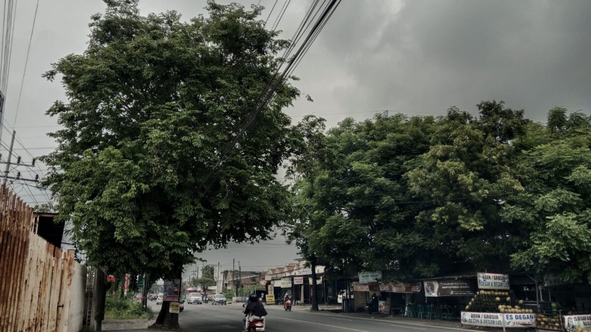 WhatsApp Image 2025 02 03 at 15.49.32 c027ab5b 4 WhatsApp Image 2025 02 03 at 15.49.32 c027ab5b