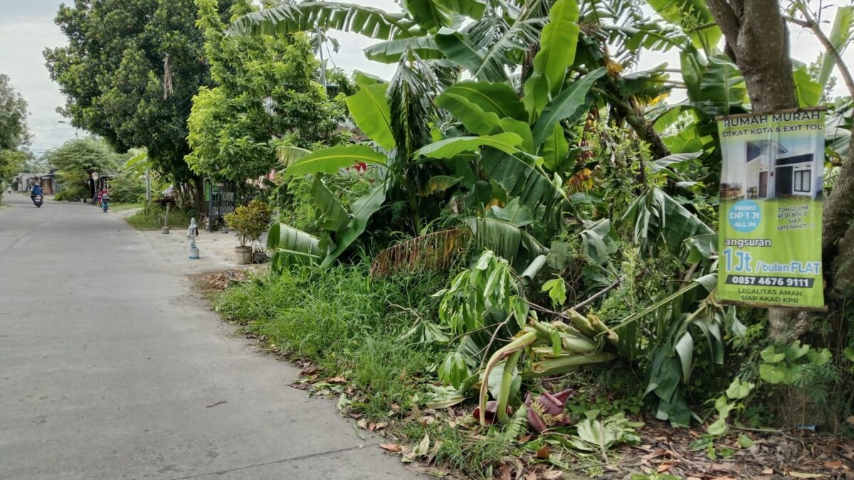 WhatsApp Image 2025 02 13 at 08.00.20 e210d779 1 WhatsApp Image 2025 02 13 at 08.00.20 e210d779