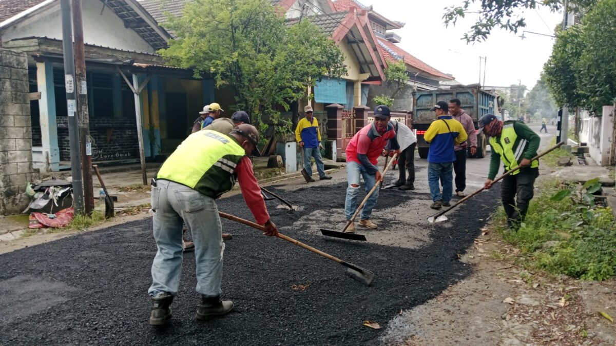 WhatsApp Image 2025 02 13 at 15.33.38 3af4f667