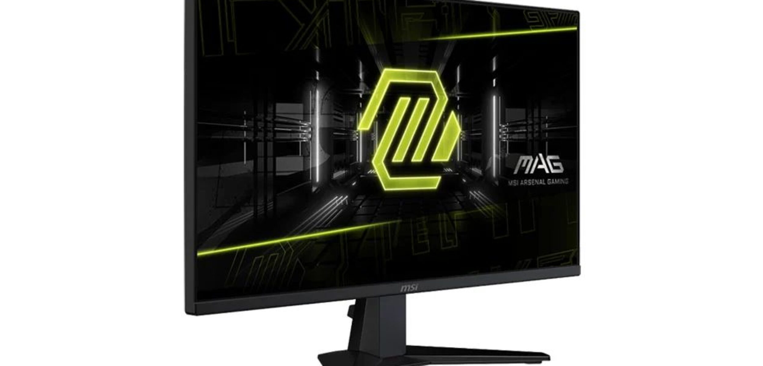 WhatsApp Image 2025 02 13 at 2.54.04 PM