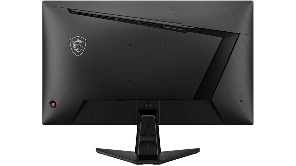 WhatsApp Image 2025 02 13 at 2.54.06 PM