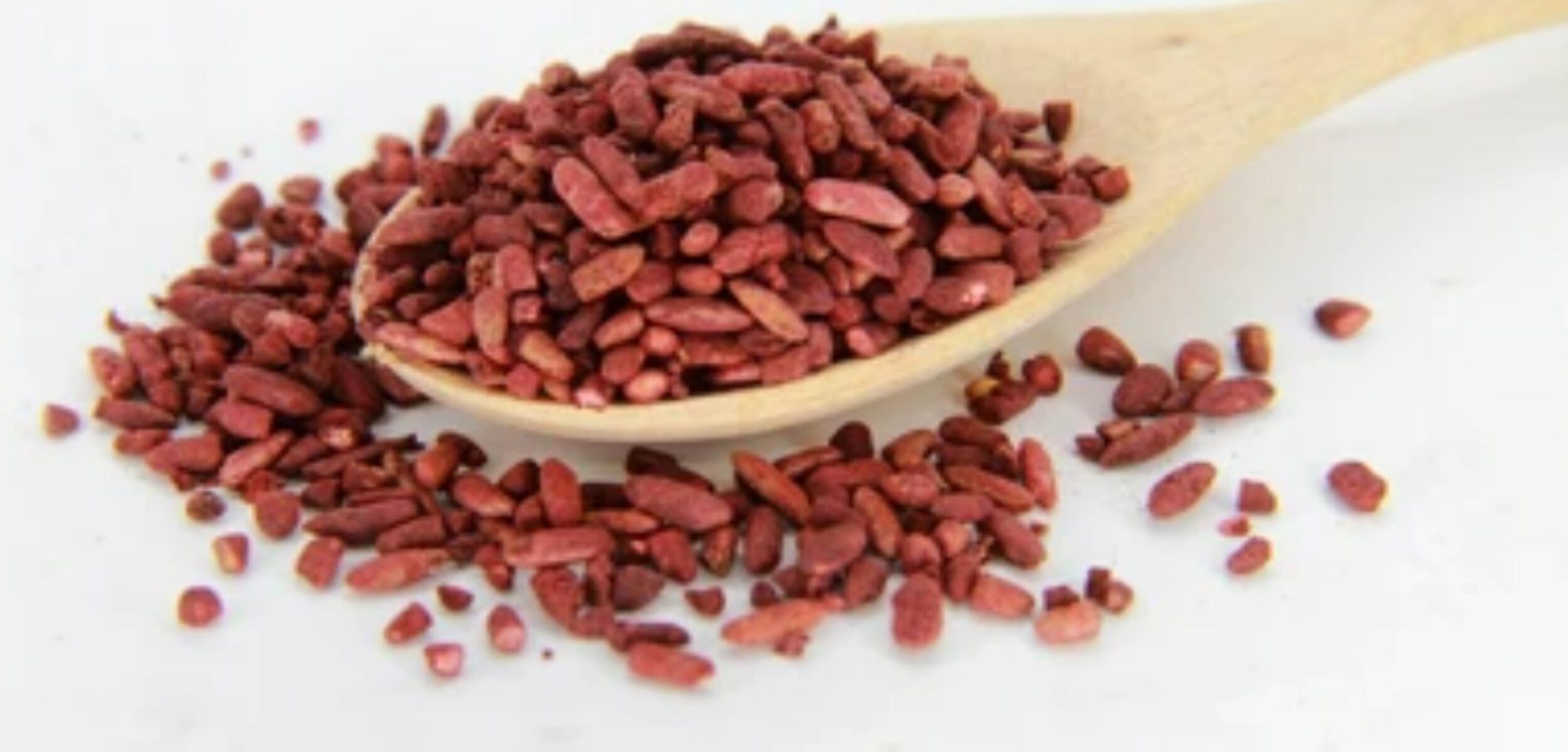 WhatsApp Image 2025 02 24 at 10.36.02 AM