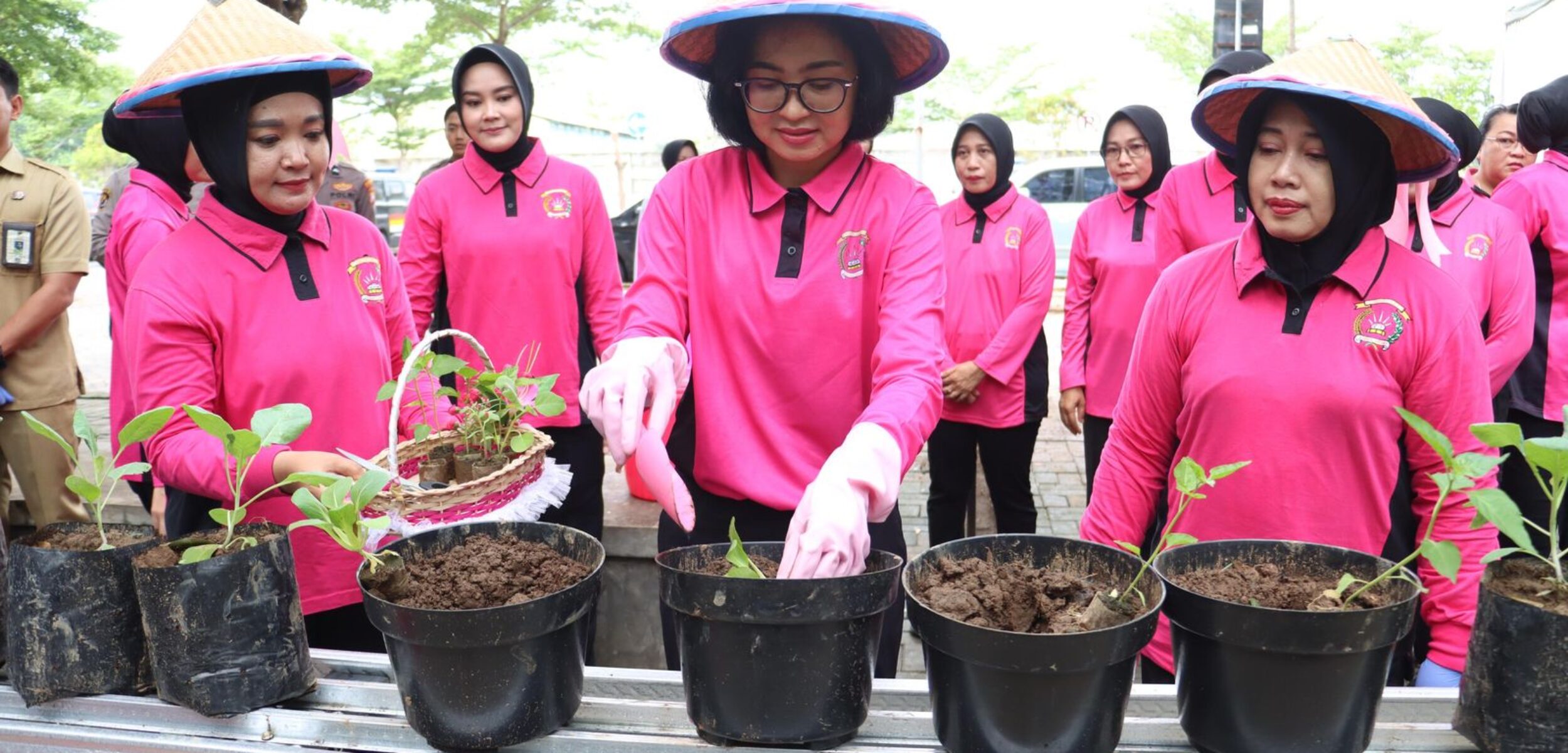 WhatsApp Image 2025 02 24 at 3.15.25 PM