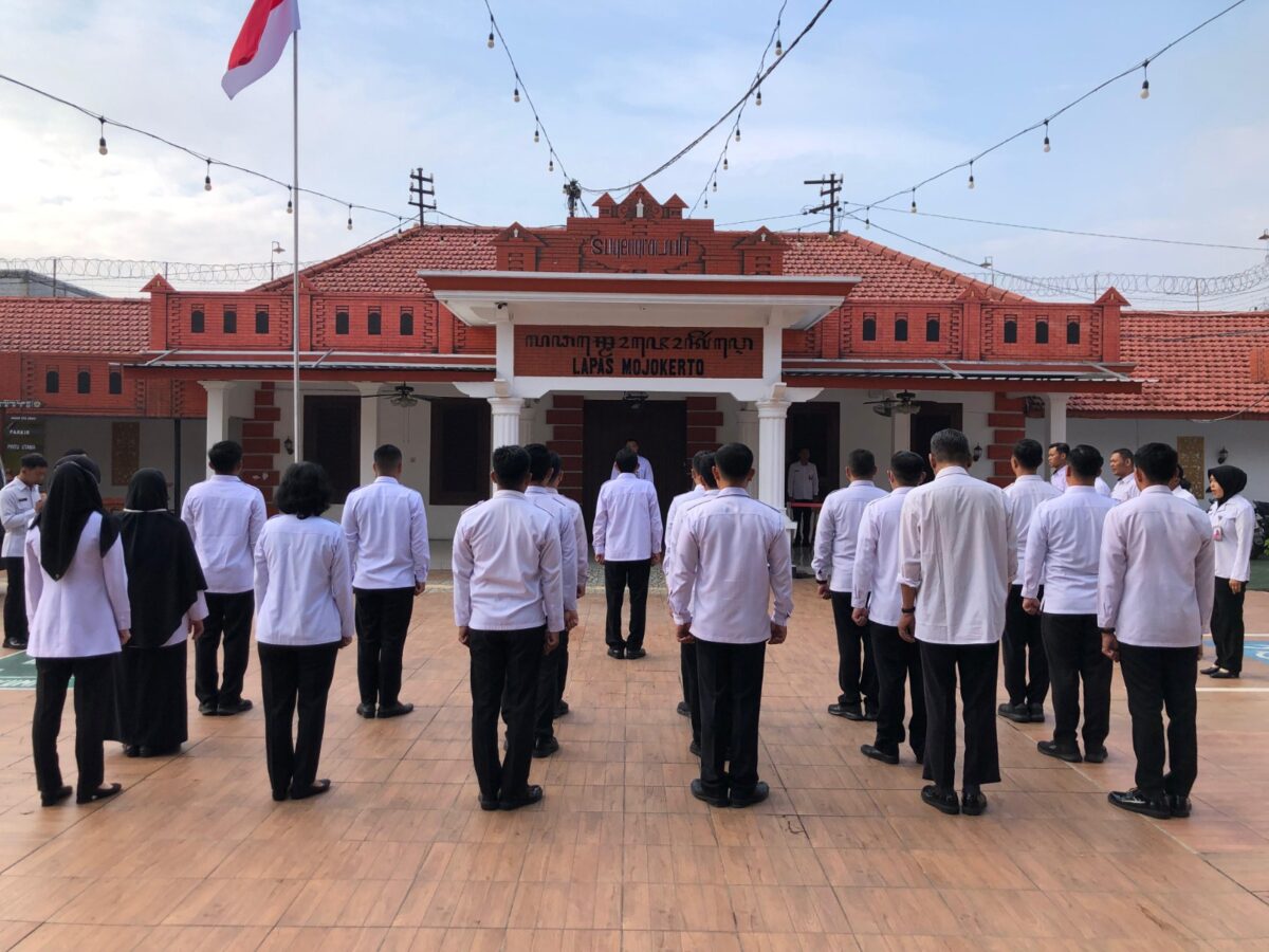 WhatsApp Image 2025 02 26 at 10.44.02 AM