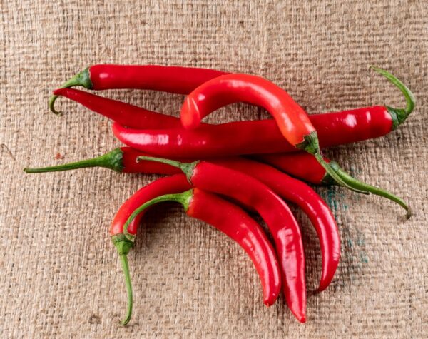 Harga Cabai Merah Naik di Awal November 2025, Dijual Berapa?