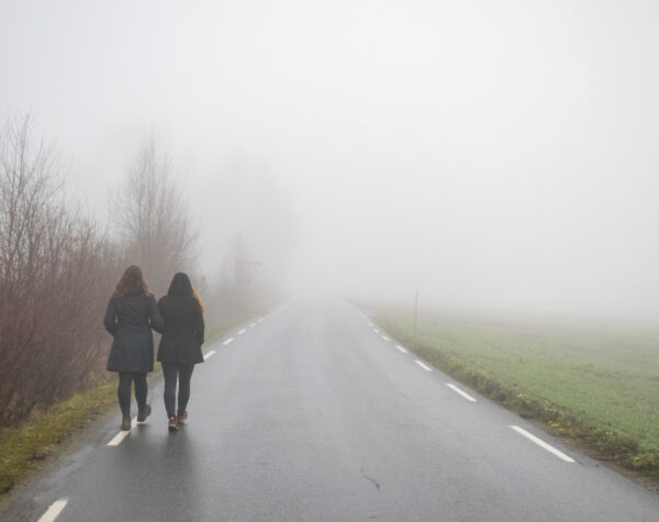 Info Cuaca Kabupaten Mojokerto (5/3): Kabut hingga Hujan Ringan