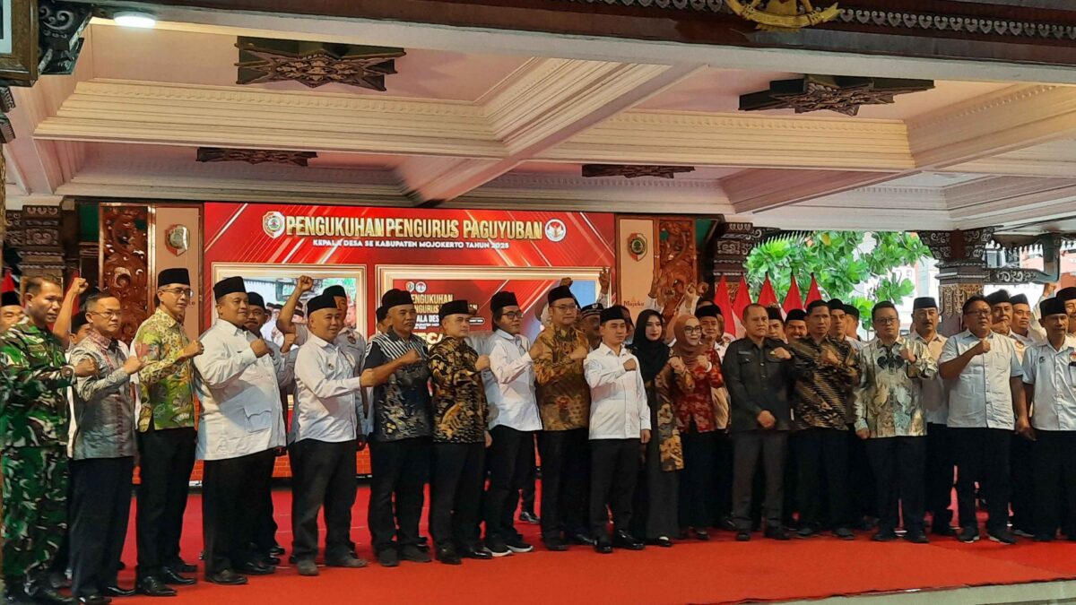 20250310 161814 11zon