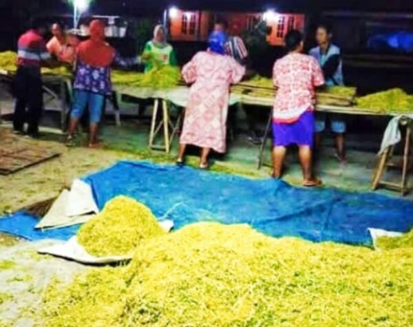 Ribuan Pekerja Rentan Miskin di Grobogan Bakal Dapat BPJS Ketenagakerjaan dari DBHCHT