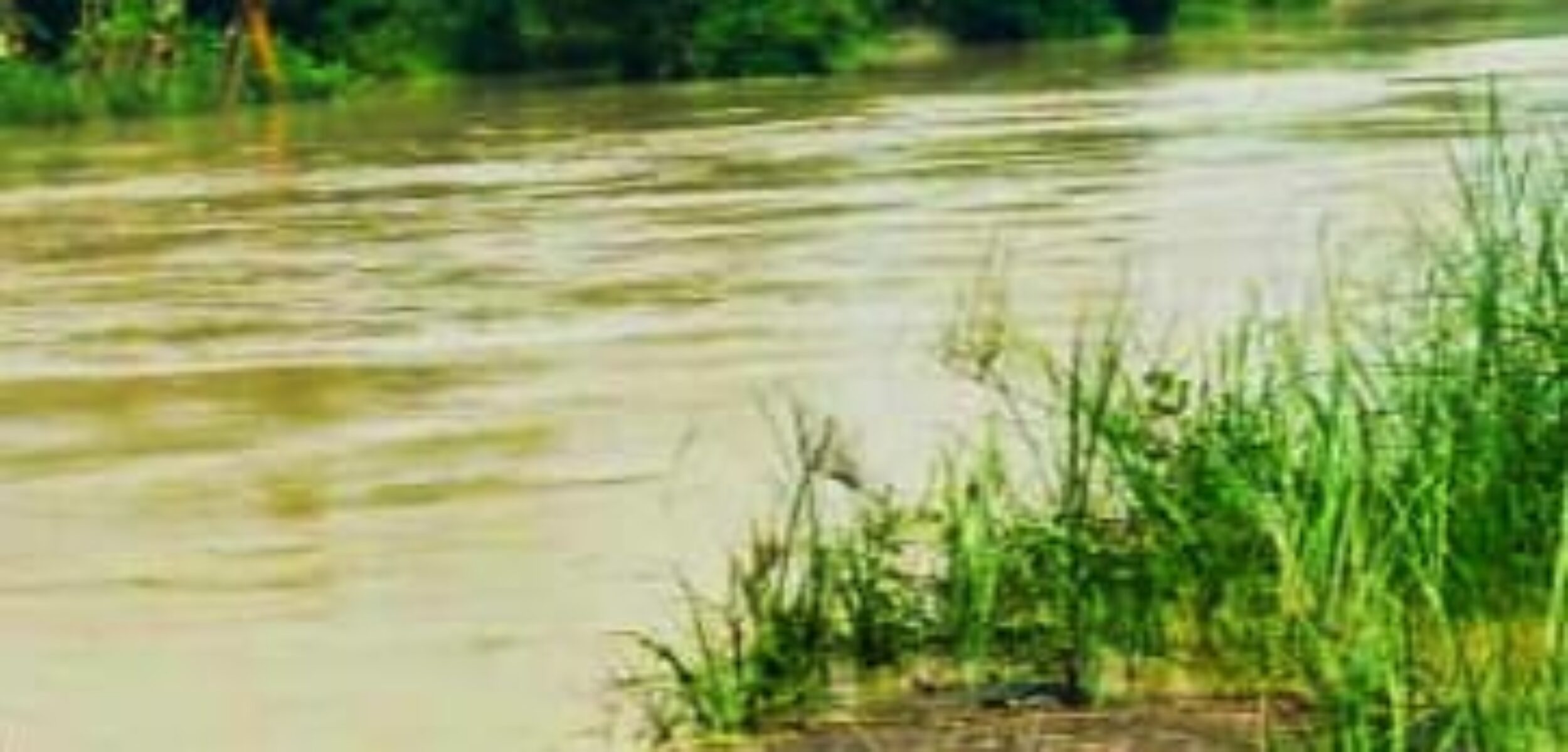 Diguyur Hujan, Elevasi DAS Lusi Grobogan Meningkat Berstatus Awas