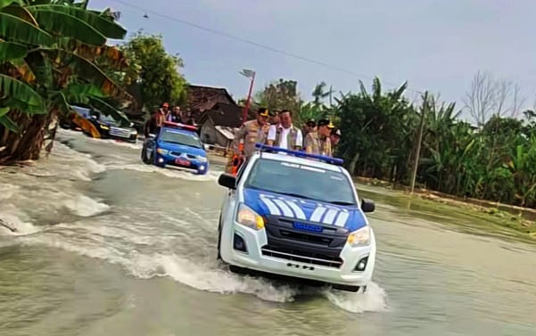 IMG 20250311 WA0117 1 IMG 20250311 WA0117