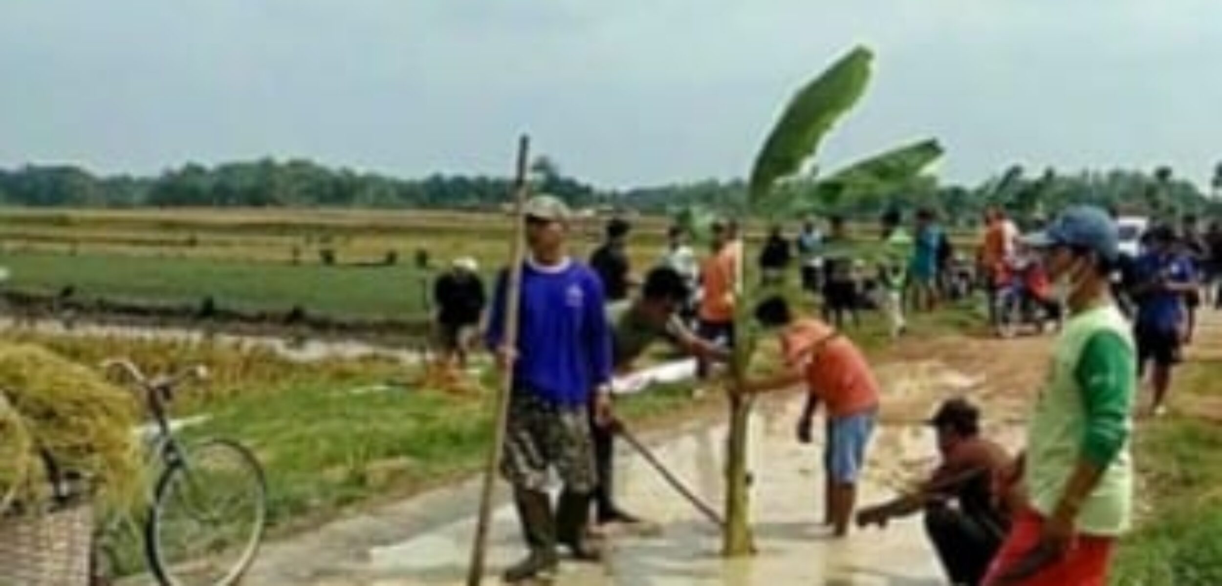 Potret Jalan Rusak hingga Jadi Kubangan di Grobogan, Warga Ramai-ramai Tanam Pohon Pisang