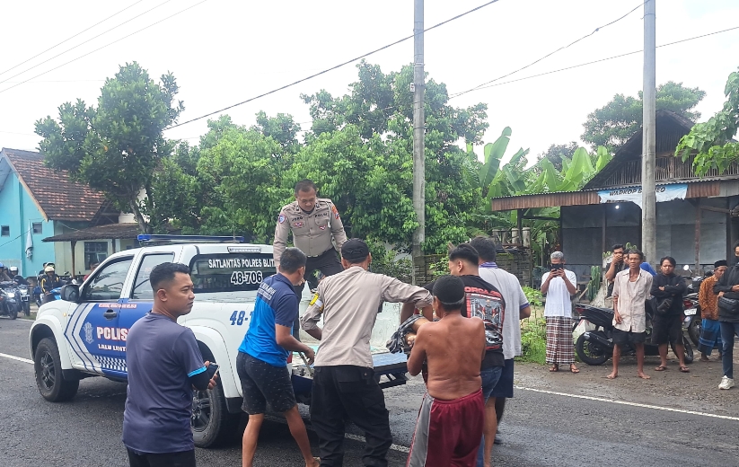 Screenshot 20250309 034608 1 Screenshot 20250309 034608