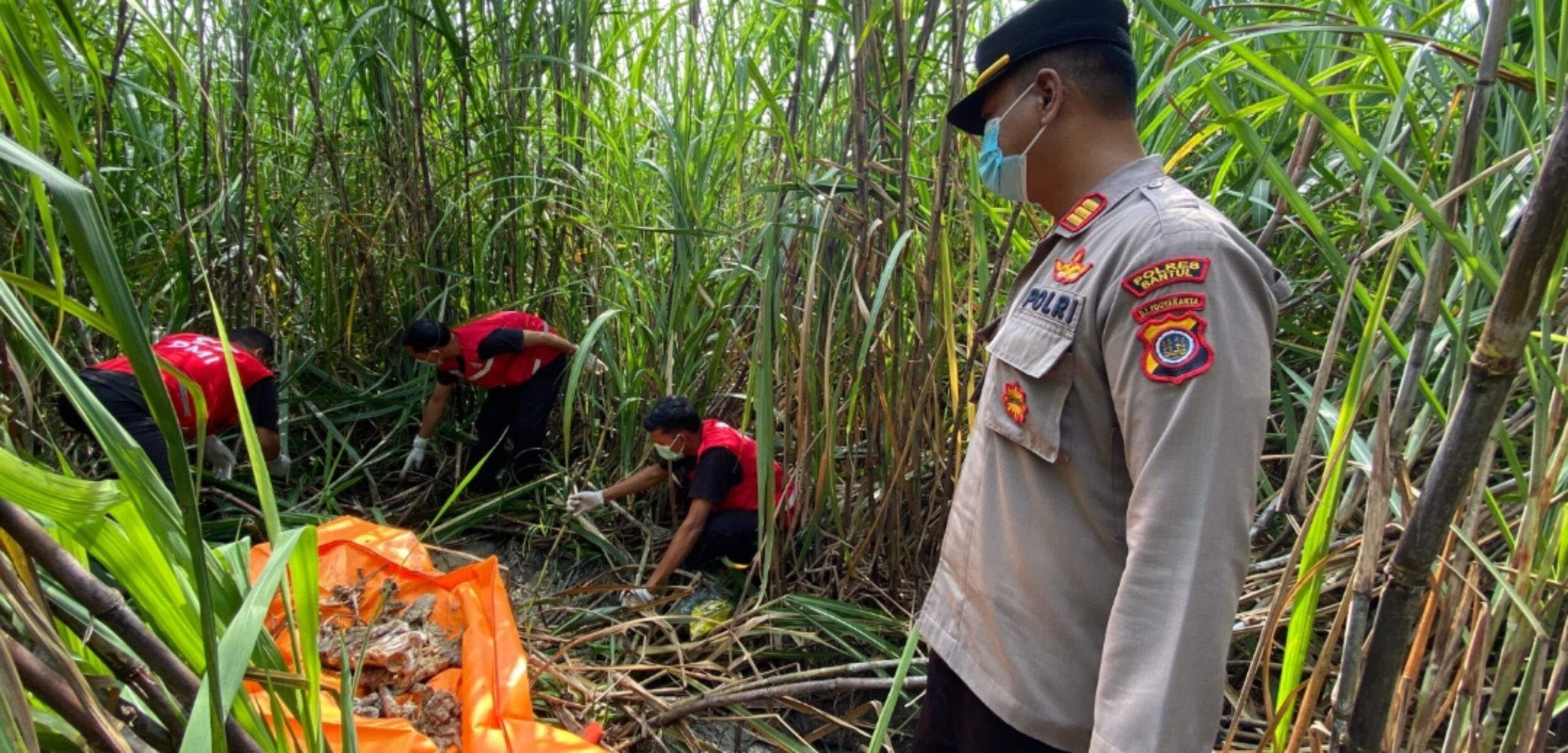 Screenshot 20250317 142042