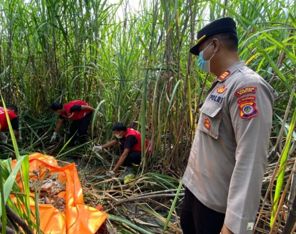 Kerangka Berjenis Kelamin Perempuan Ditemukan di Ladang Tebu di Bantul, Begini Penjelasan Polisi