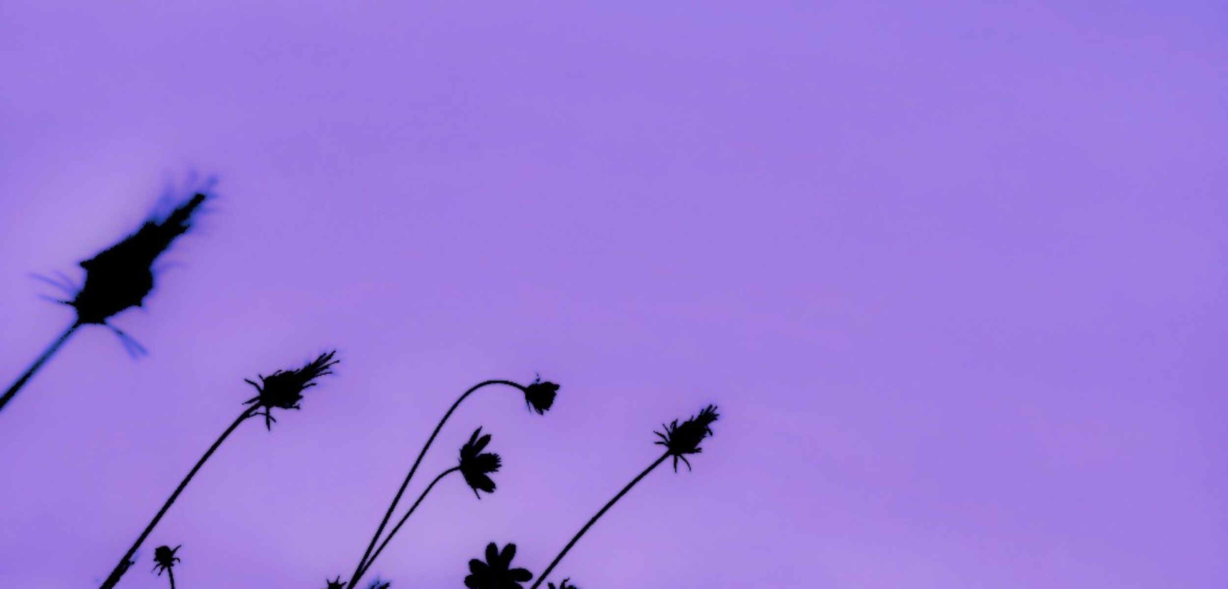 WhatsApp Image 2025 03 04 at 1.53.17 PM