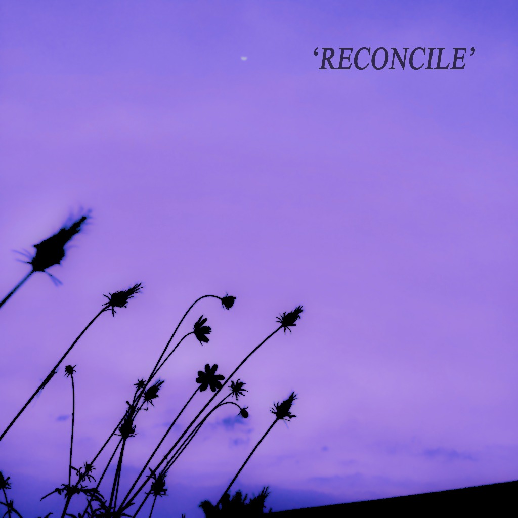 WhatsApp Image 2025 03 04 at 1.53.17 PM