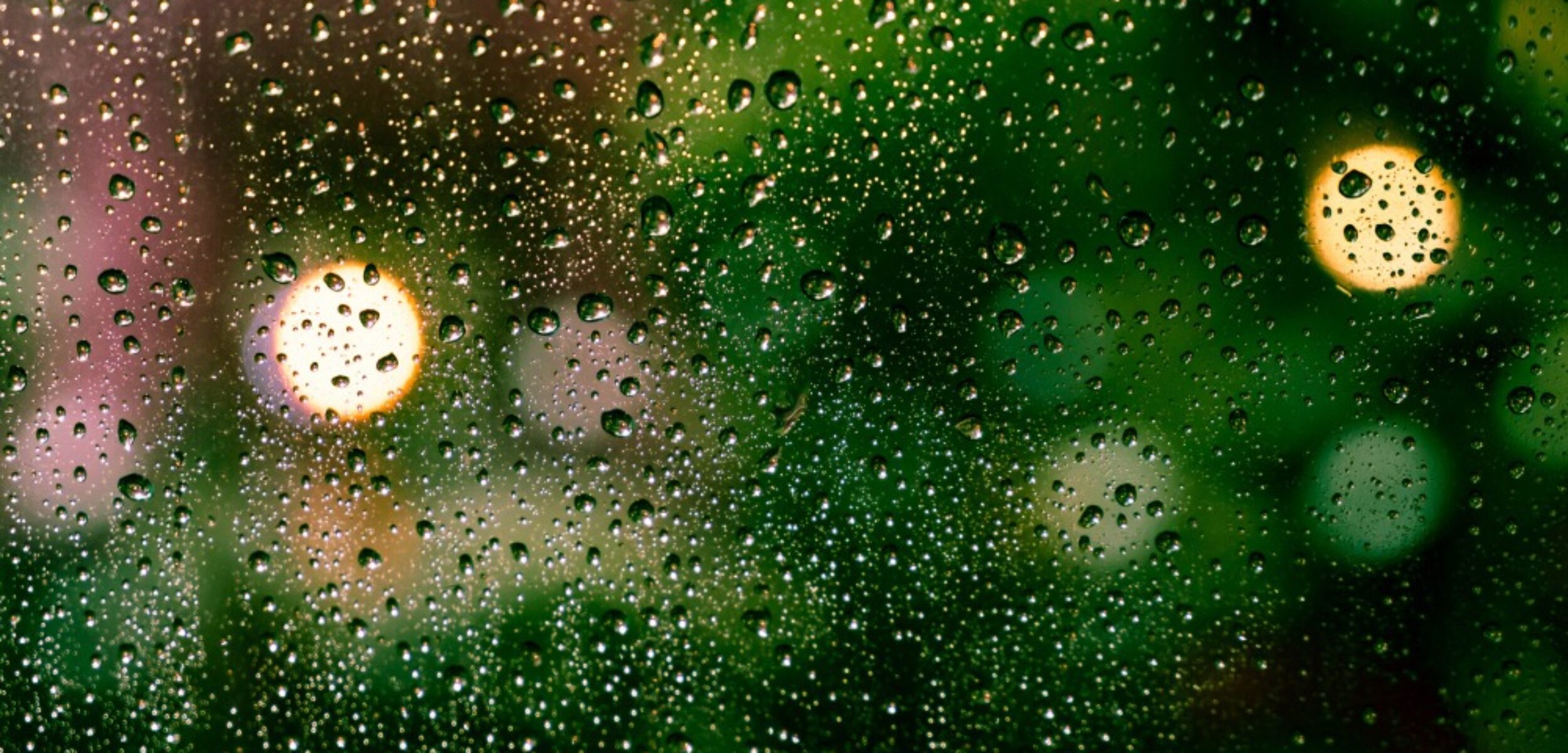 WhatsApp Image 2025 03 15 at 8.01.01 AM