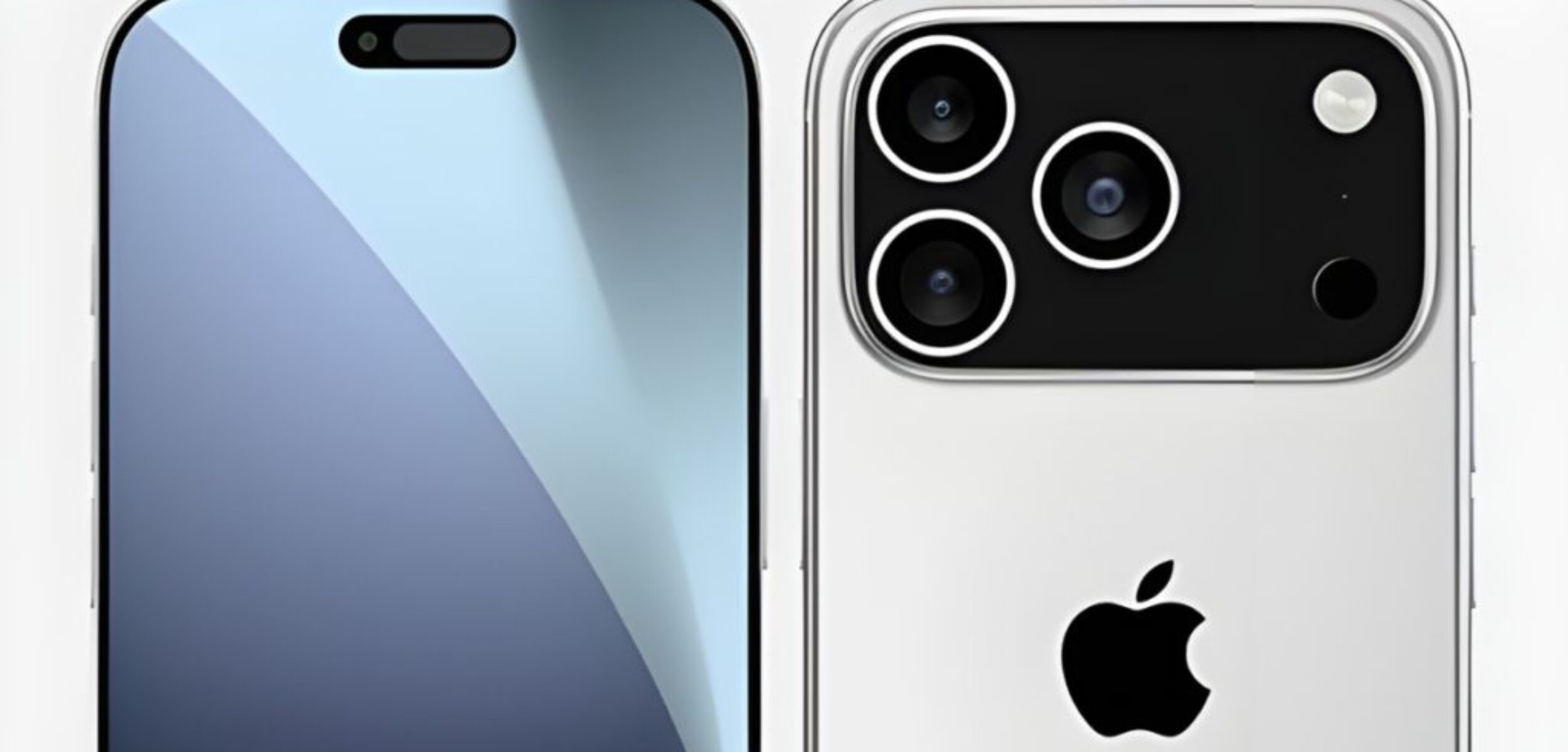 WhatsApp Image 2025 03 17 at 1.49.23 PM