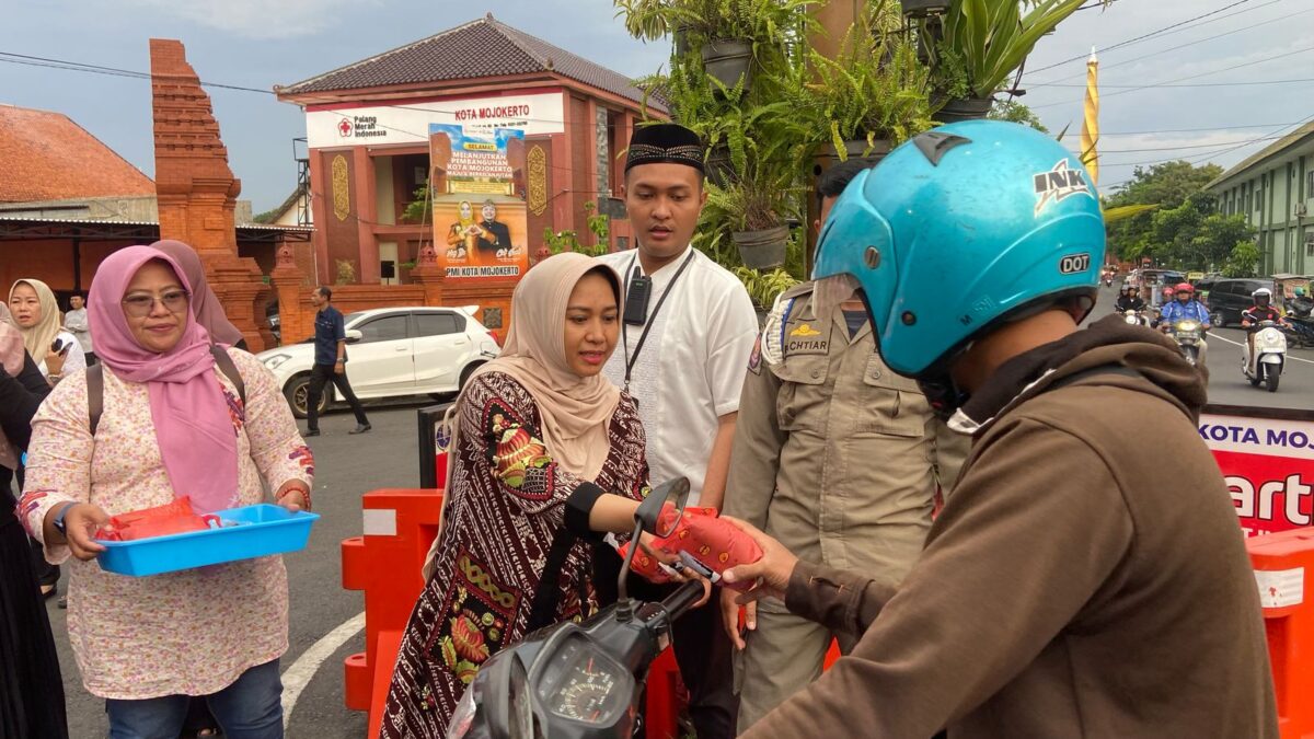 WhatsApp Image 2025 03 17 at 8.19.27 PM