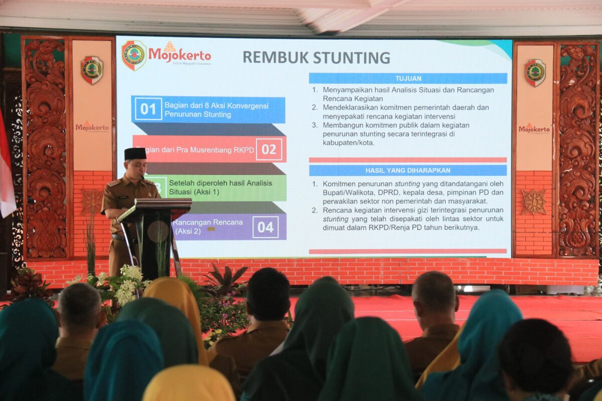 WhatsApp Image 2025 03 25 at 14.06.45