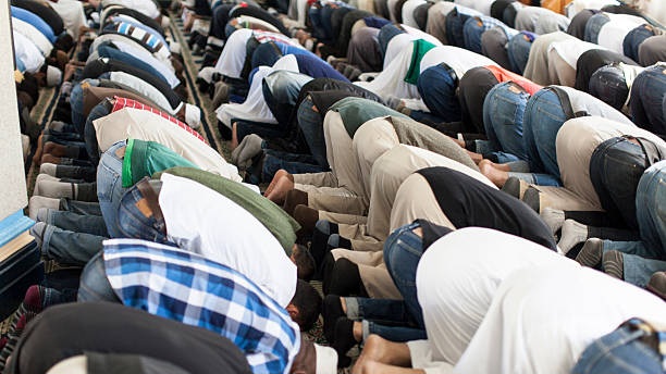 istockphoto 463176751 612x612 1