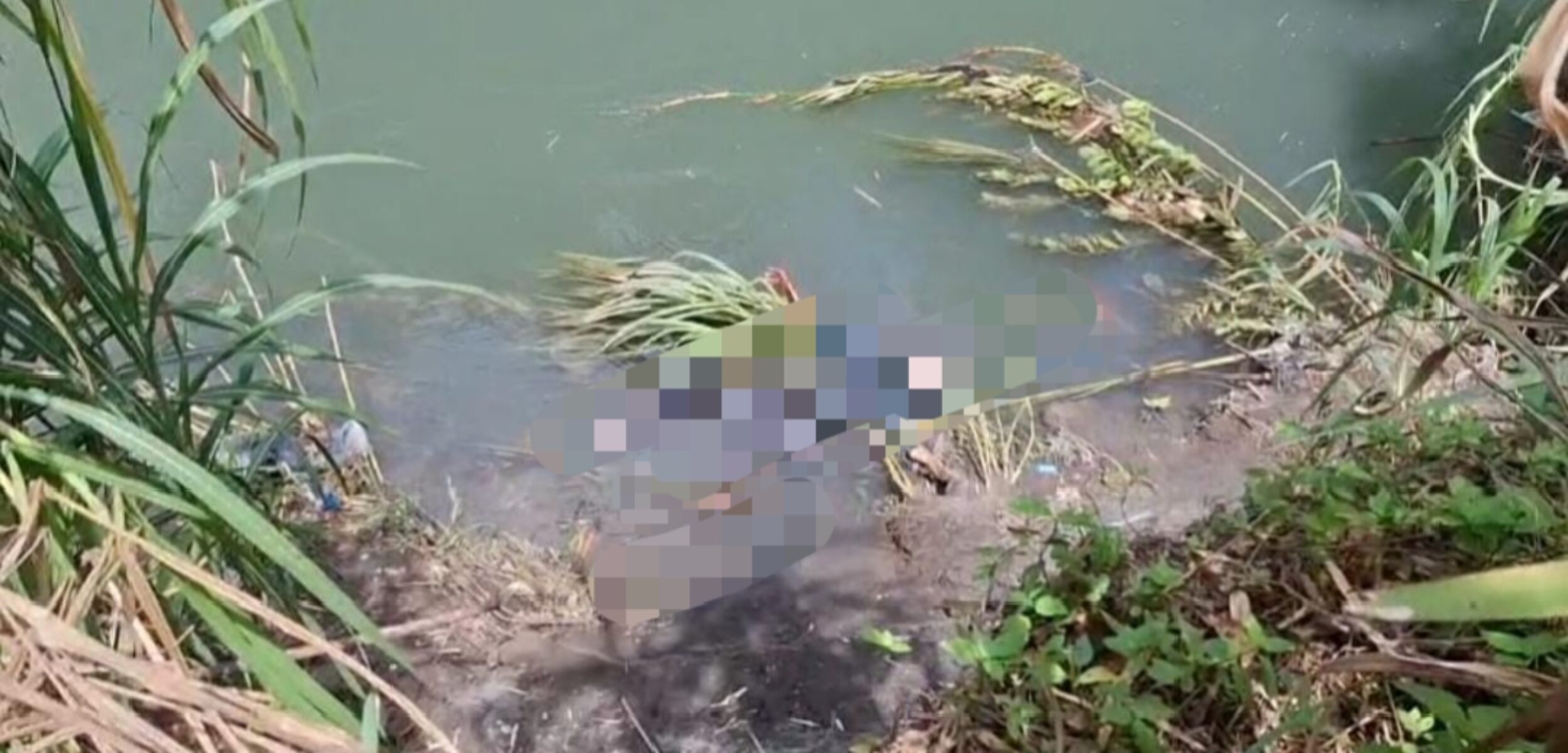 Heboh Mayat Mengapung di Sungai Code Bantul, Begini Penjelasan Polisi