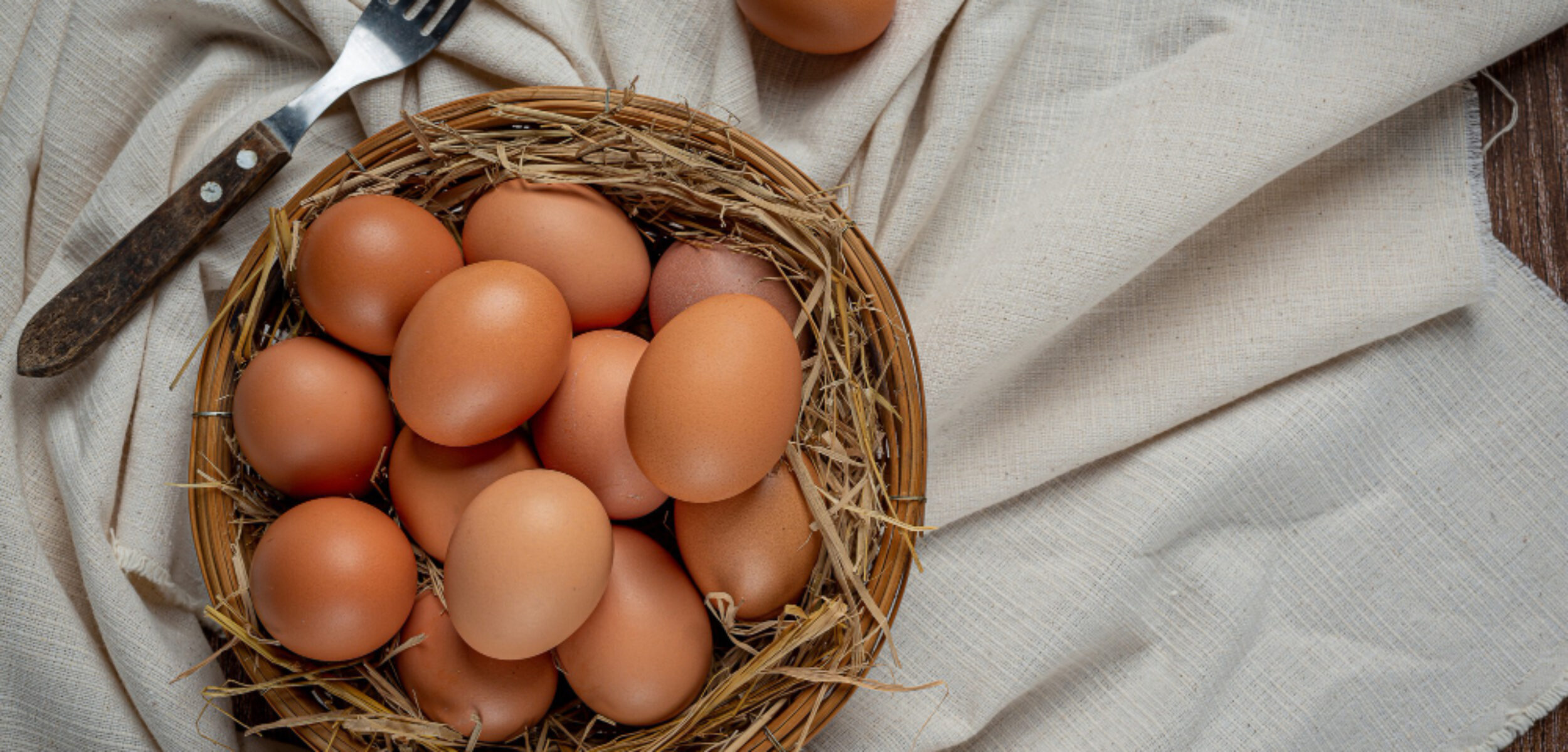 25518 1 Ilustrasi telur ayam kampung. (Freepik)