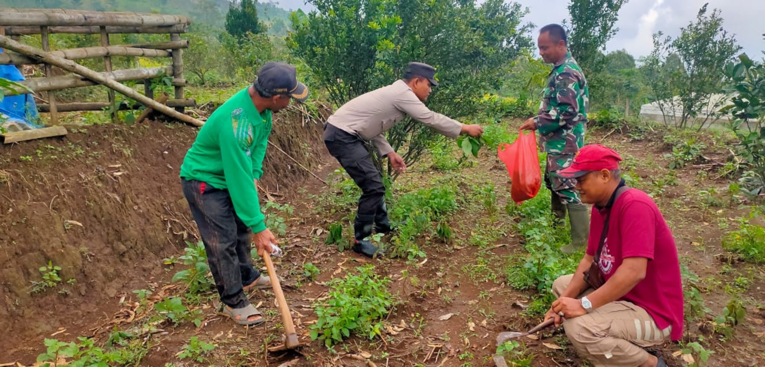 8CE8866E E425 4282 B3AB 7C259BE5E2BD