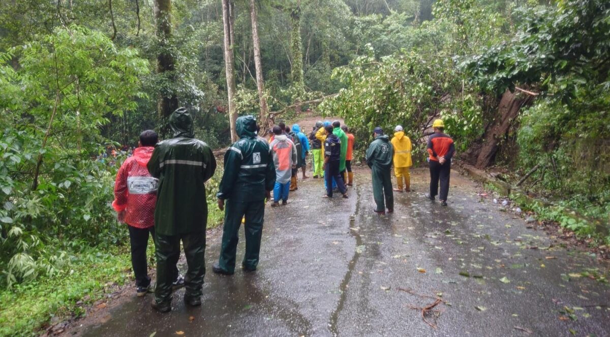 Suasana area longsor di lereng kawasan hutan Raden Raden Soerjo, blok Watulumpang, Kecamatan Pacet, Kabupaten Mojokerto, Kamis (3/4/2025) siang (Redaksi / Kabarterdepan.com) 