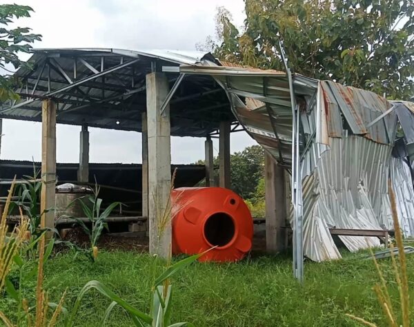 Potret Pabrik Minyak Kayu Putih di Grobogan di Tengah Optimalisasi Pengelolaan Perhutanan Sosial