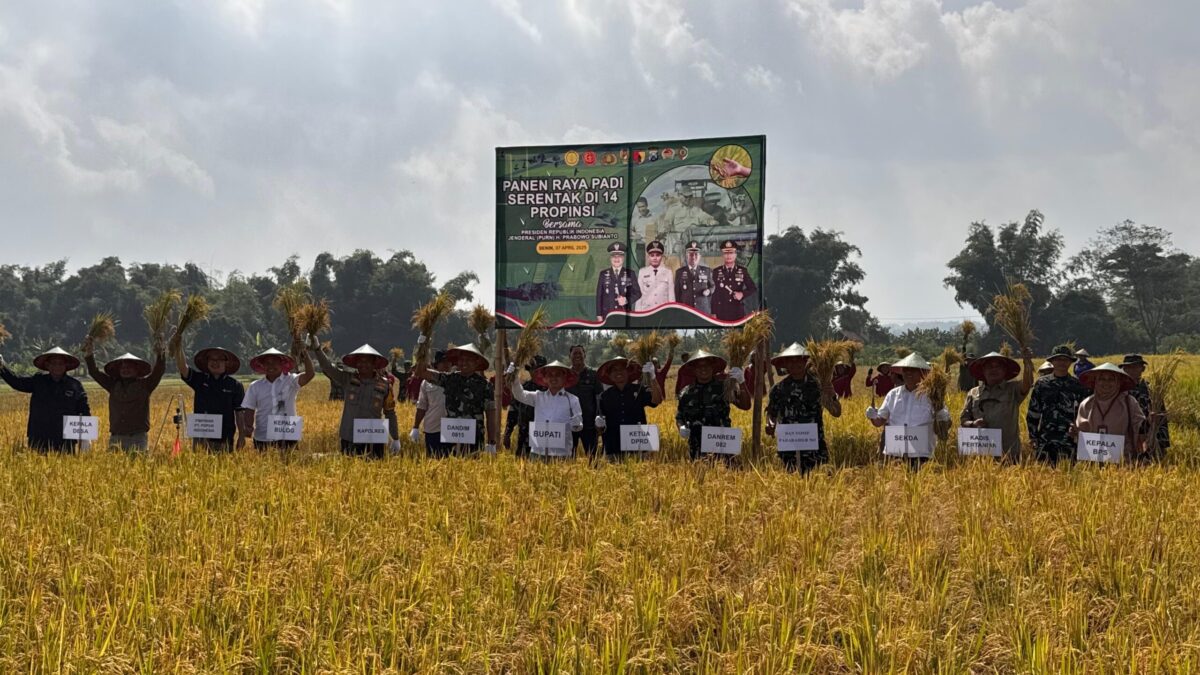 IMG 20250407 WA0081 1 IMG 20250407 WA0081