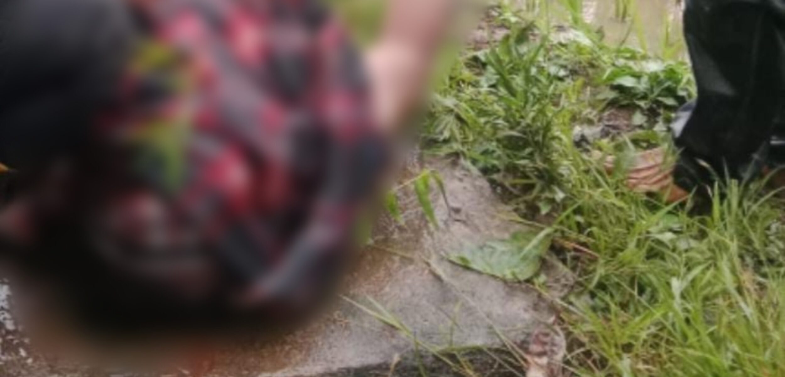 MEITU 20250419 151651541