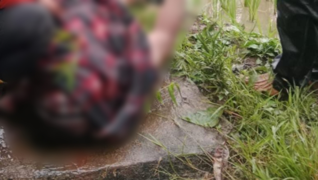 MEITU 20250419 151651541 1 MEITU 20250419 151651541