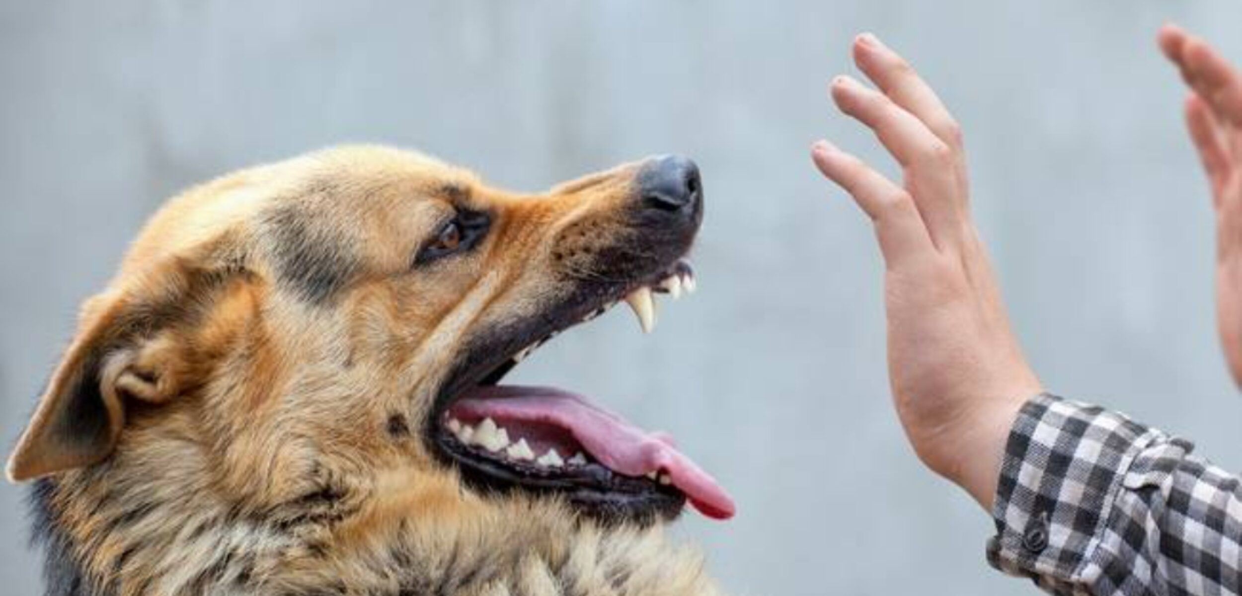 Screenshot 20250405 094045