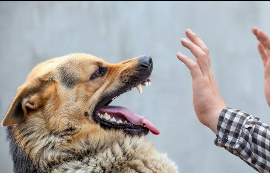 Screenshot 20250405 094045