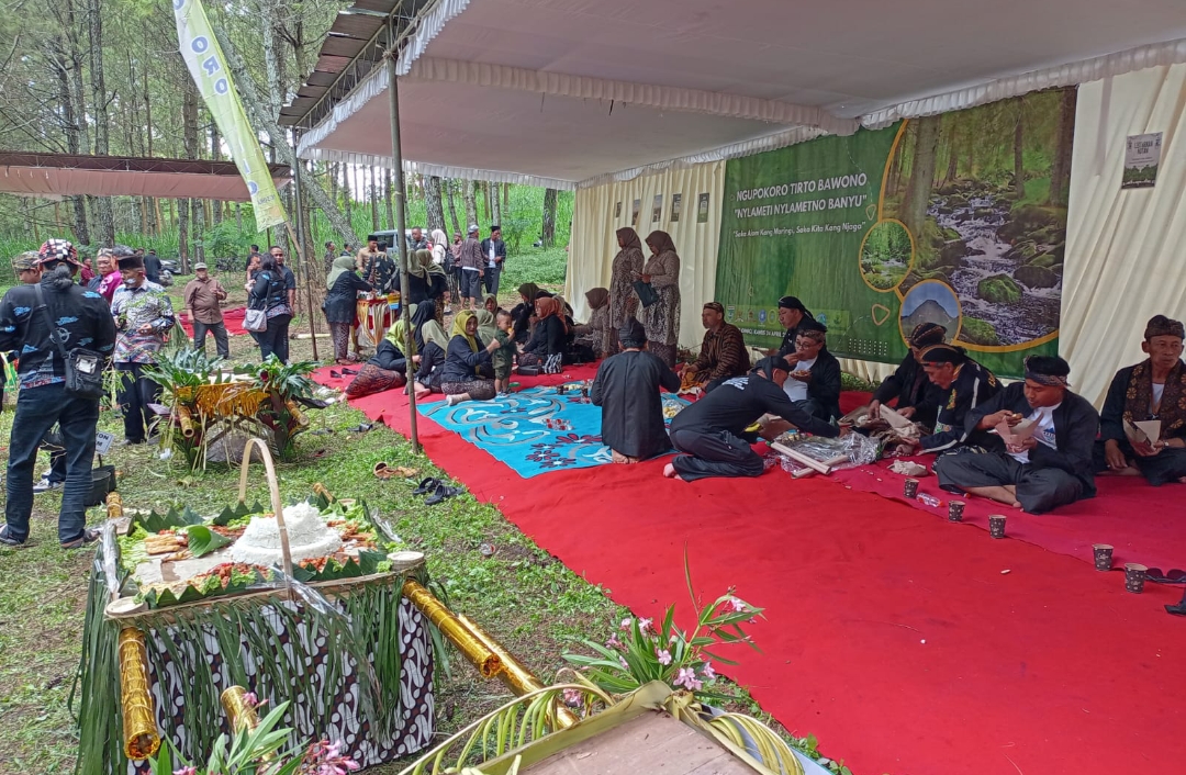 Screenshot 20250425 152923