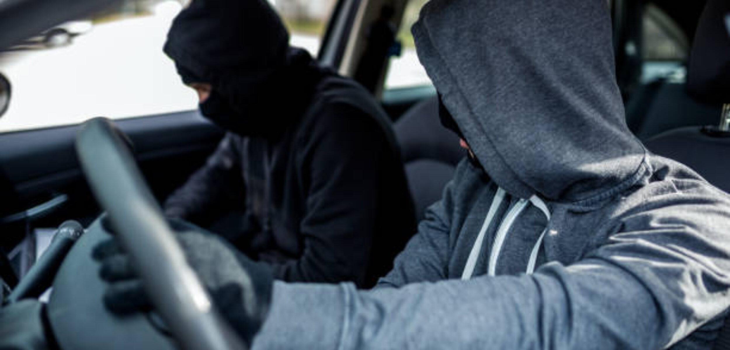 WhatsApp Image 2025 04 11 at 16.33.45 6053fcc6