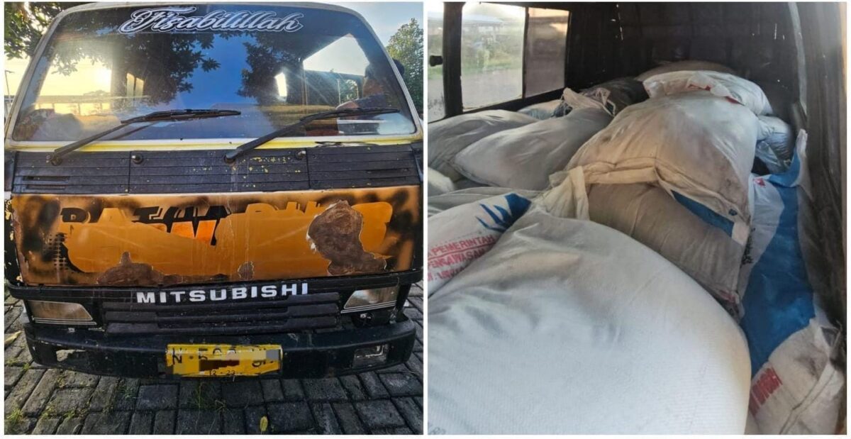 WhatsApp Image 2025 04 14 at 12.53.32 PM