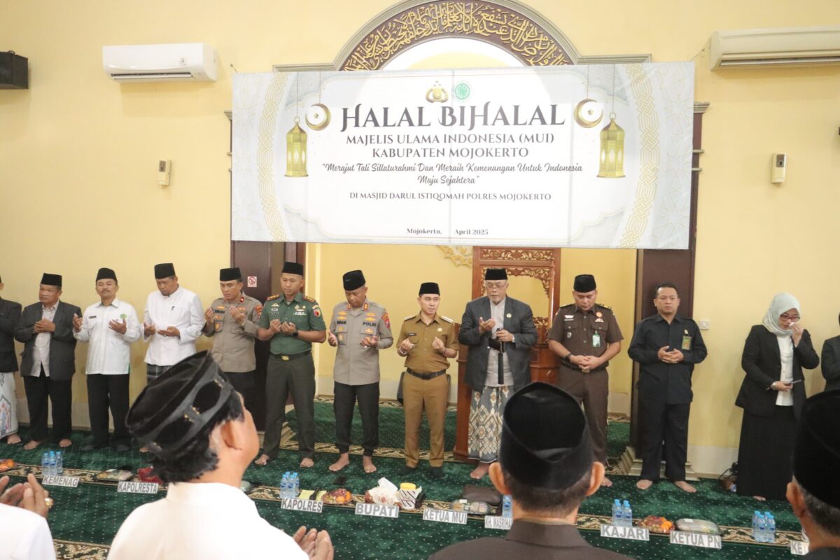 WhatsApp Image 2025 04 15 at 2.41.55 PM