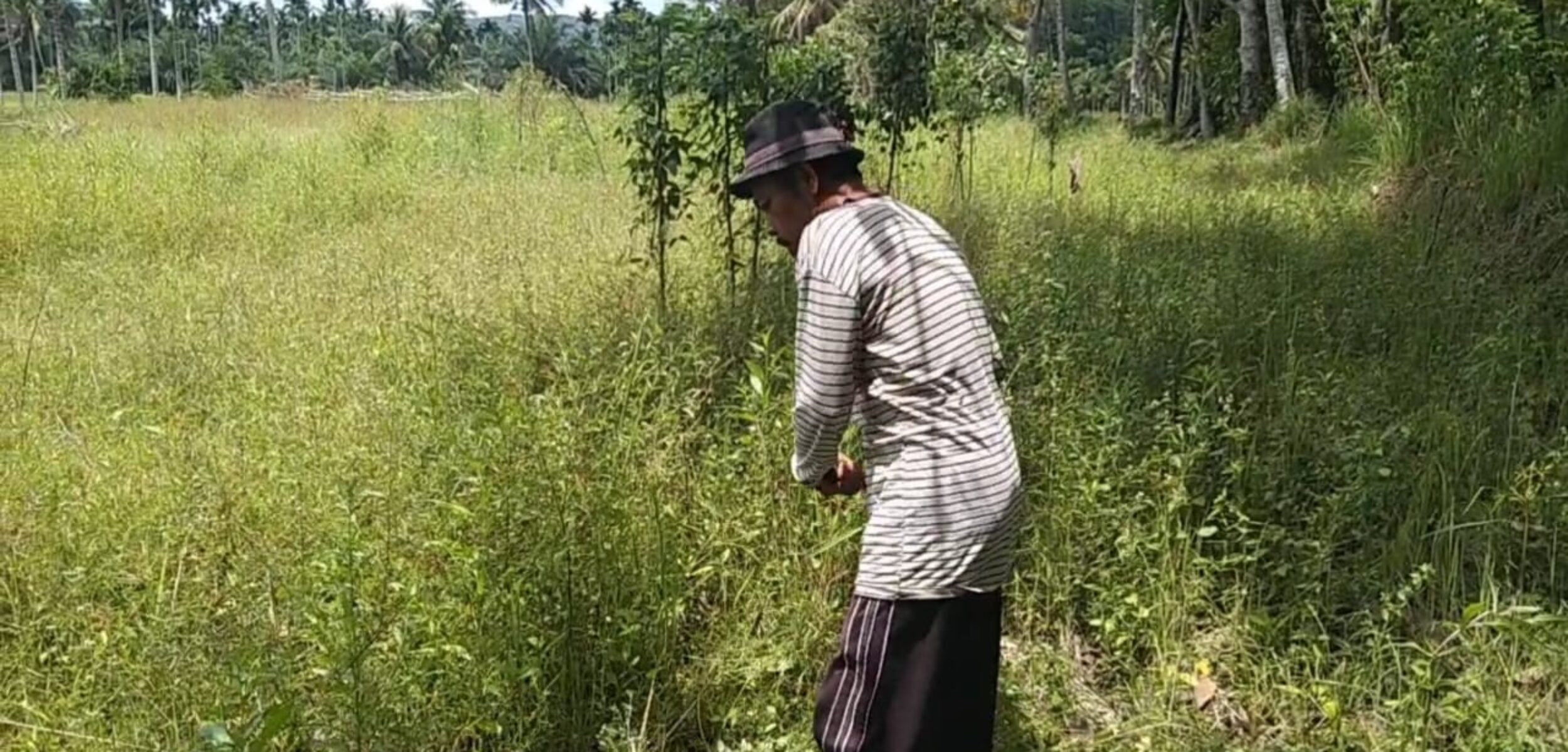 WhatsApp Image 2025 04 30 at 12.58.58 410dcd97