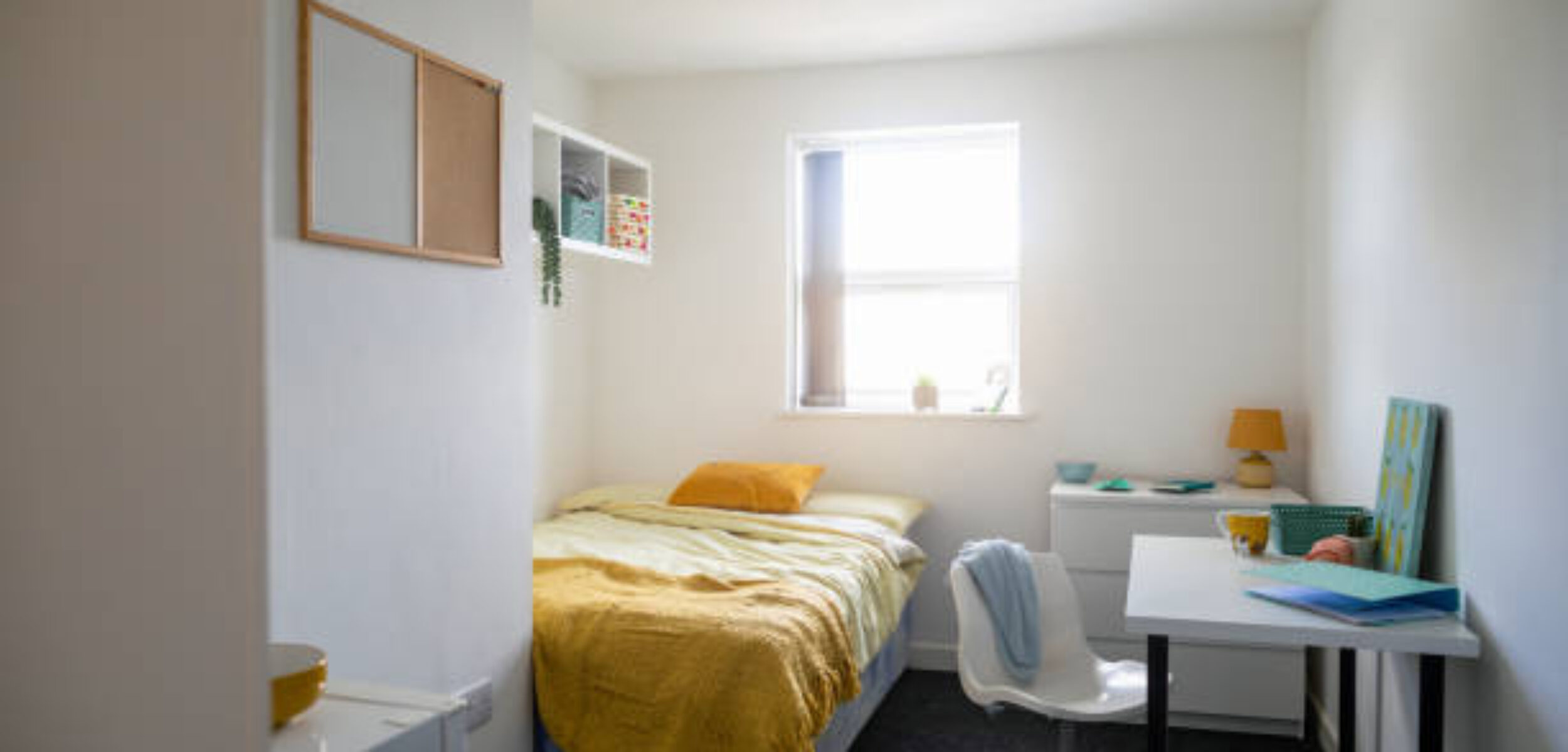 istockphoto 1369314103 612x612 1