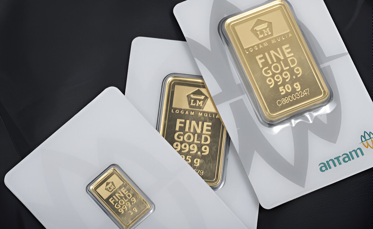 steptodown.com316313