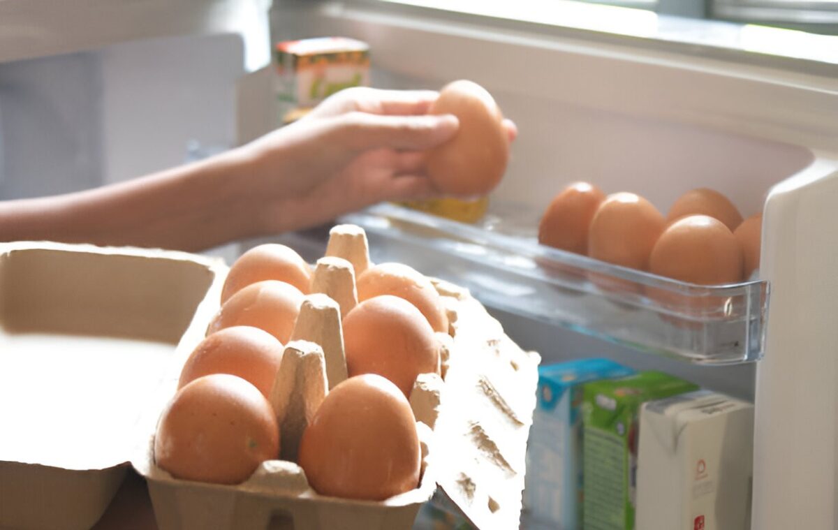 steptodown.com775781 1 steptodown.com775781