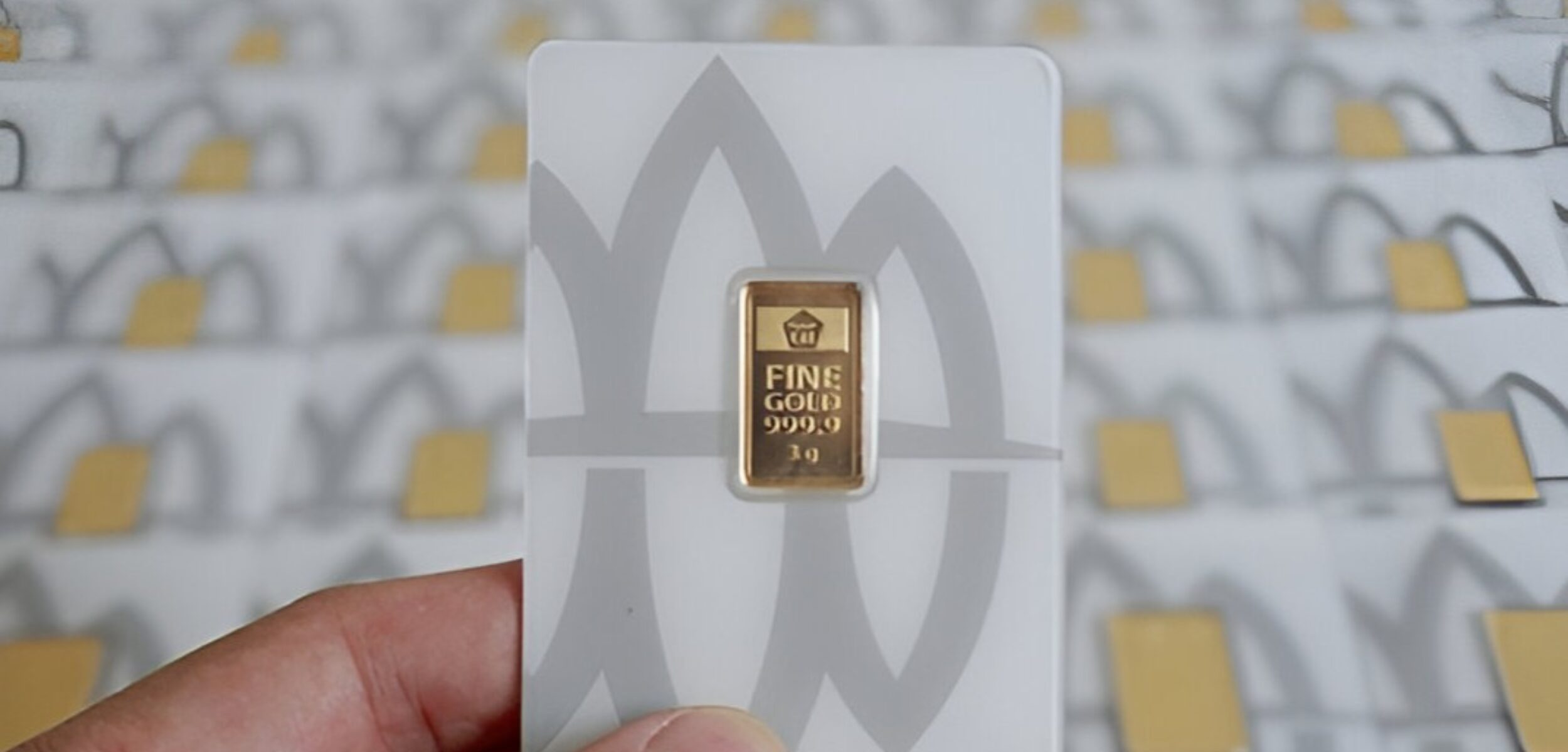 steptodown.com964575