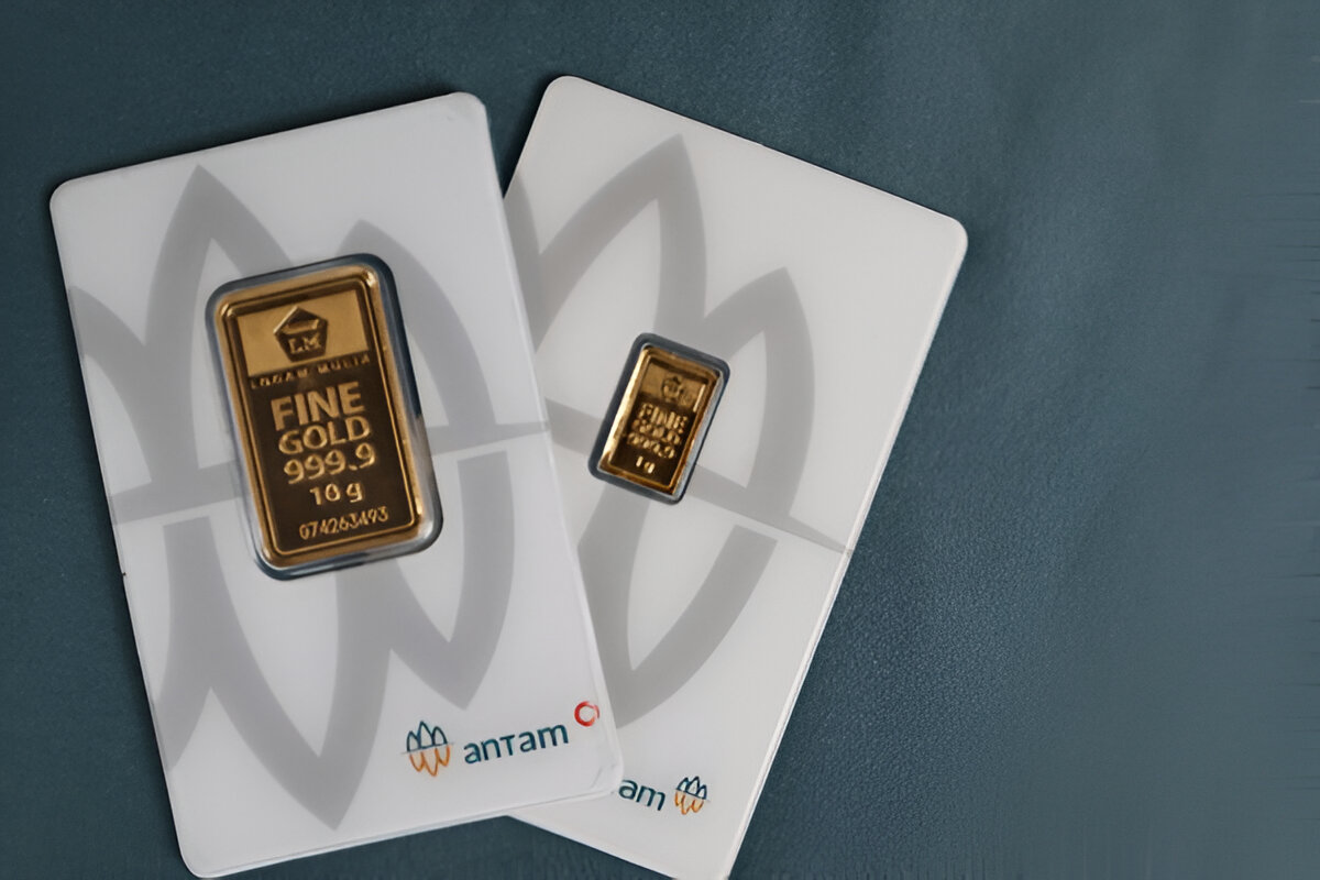 steptodown.com970388