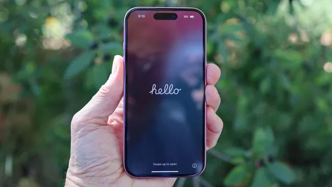 yFvoV9ge5eAv3fz4zwfr8J 650 80.jpg