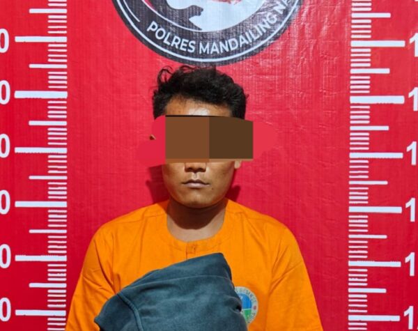 Pengedar Sabu di Sipolu-polu Diringkus Polres Madina, Petugas Sempat Dilempari Batu